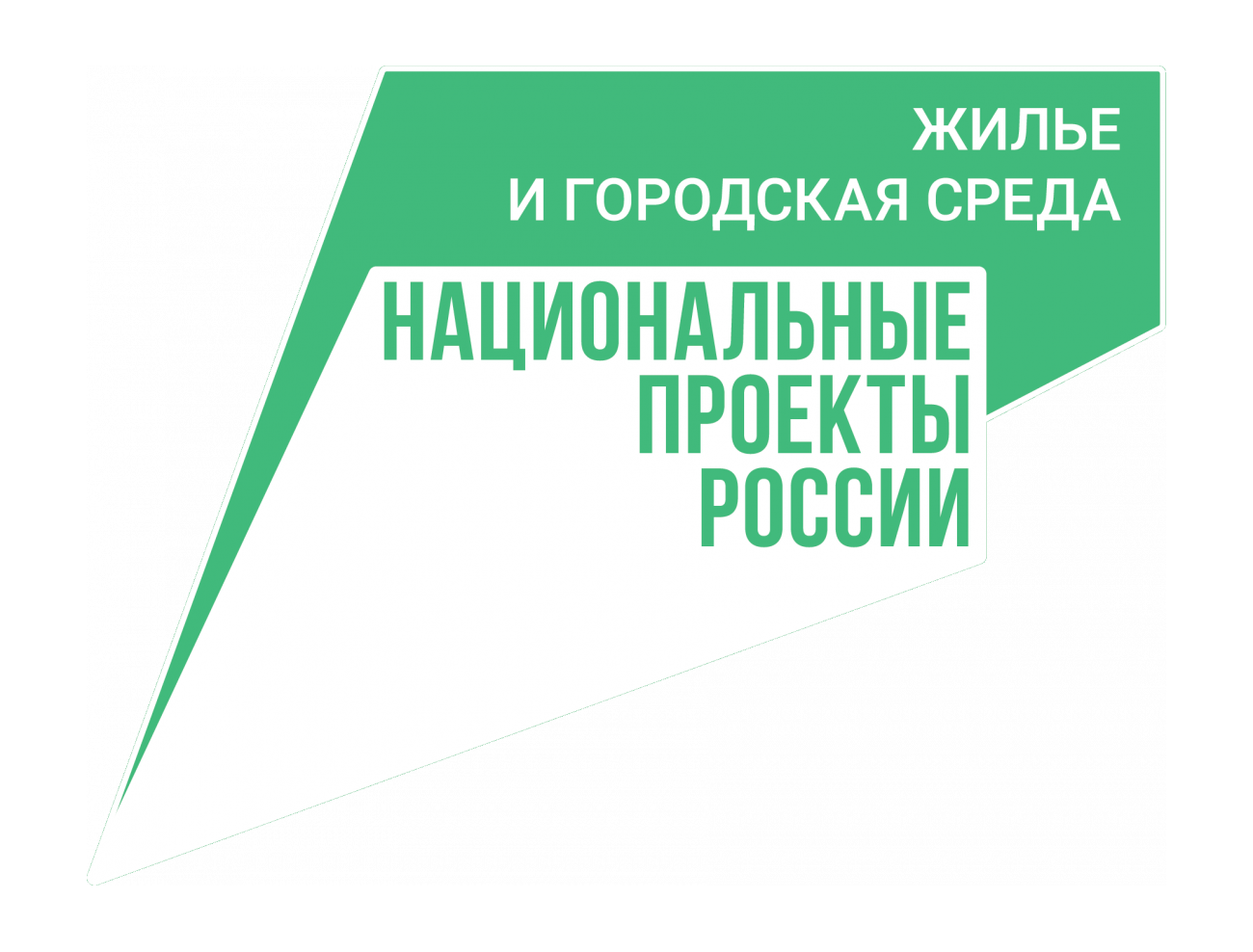Проект «Мой зеленый двор»